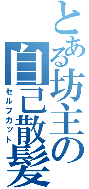 とある坊主の自己散髪（セルフカット）