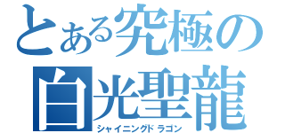 とある究極の白光聖龍（シャイニングドラゴン）