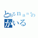 とあるｎａｎａ民のかいる（）