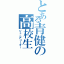 とある青健の高校生（ジュニアリーダー）