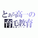 とある高一の育毛教育（天然パーマ）