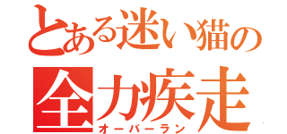 とある迷い猫の全力疾走（オーバーラン）