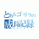 とあるゴリラの成長記録（ぶらりん）