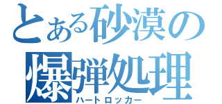 とある砂漠の爆弾処理兵（ハートロッカー）