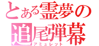 とある霊夢の追尾弾幕（アミュレット）