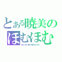 とある暁美のほむほむ（ほむほむ俺の嫁ほむほむ）