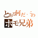 とある何だ、このホモ兄弟（）