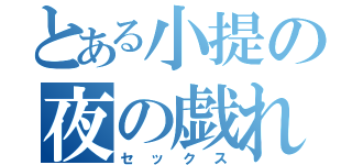 とある小提の夜の戯れ（セックス）