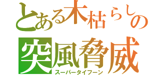 とある木枯らしの突風脅威（スーパータイフーン）