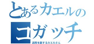 とあるカエルのコガッチ（近所を旅するカエルさん）