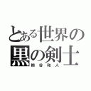 とある世界の黒の剣士（桐谷和人）