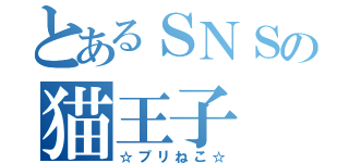 とあるＳＮＳの猫王子（☆プリねこ☆）