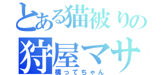 とある猫被りの狩屋マサキ（構ってちゃん）