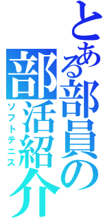 とある部員の部活紹介（ソフトテニス）