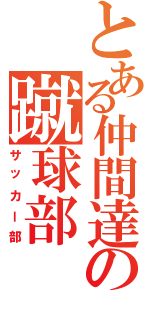 とある仲間達の蹴球部（サッカー部）