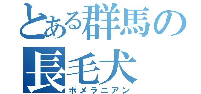 とある群馬の長毛犬（ポメラニアン）