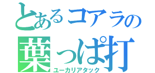 とあるコアラの葉っぱ打撃（ユーカリアタック）