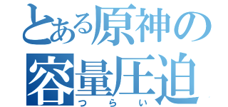 とある原神の容量圧迫（つらい）