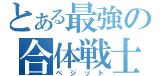 とある最強の合体戦士（ベジット）