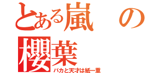 とある嵐の櫻葉（バカと天才は紙一重）