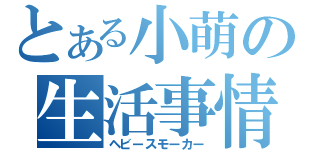 とある小萌の生活事情（ヘビースモーカー）