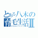 とある八木の育毛生活Ⅱ（スカルプケア）