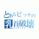 とあるビッチの乳首破壊（インデックス）