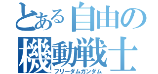 とある自由の機動戦士（フリーダムガンダム）