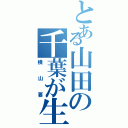 とある山田の千葉が生んだ奇跡（横山要）