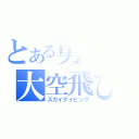 とある勇気の大空飛び（スカイダイビング）