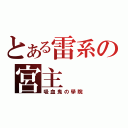 とある雷系の宮主（吸血鬼の學院）