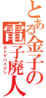 とある金子の電子廃人（ネトゲハイジン）