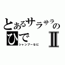 とあるサラサラのひでⅡ（シャンプーなに）