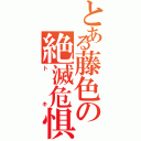 とある藤色の絶滅危惧種の鳥（トキ）