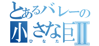 とあるバレーの小さな巨人Ⅱ（ひなた）