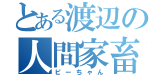 とある渡辺の人間家畜（ピーちゃん）