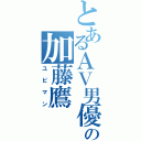 とあるＡＶ男優の加藤鷹（ユビマン）