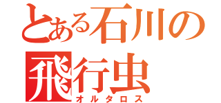 とある石川の飛行虫（オルタロス）