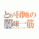 とある団地の蹴球一筋（サッカーバカ）