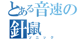 とある音速の針鼠（ソニック）