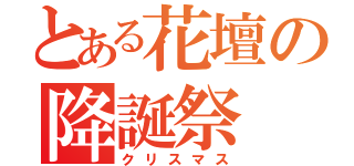 とある花壇の降誕祭（クリスマス）