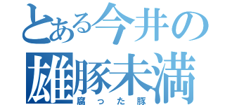 とある今井の雄豚未満（腐った豚）