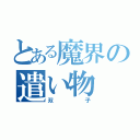 とある魔界の遣い物（双子）