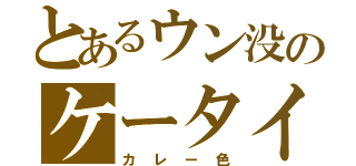 とあるウン没のケータイ（カレー色）