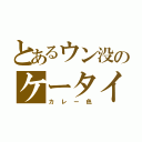 とあるウン没のケータイ（カレー色）