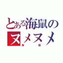 とある海鼠のヌメヌメ（海鼠）