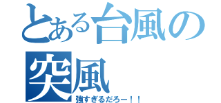 とある台風の突風（強すぎるだろー！！）