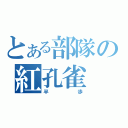 とある部隊の紅孔雀（半歩）