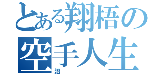 とある翔梧の空手人生（沼）