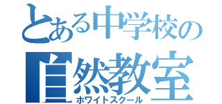 とある中学校の自然教室（ホワイトスクール）